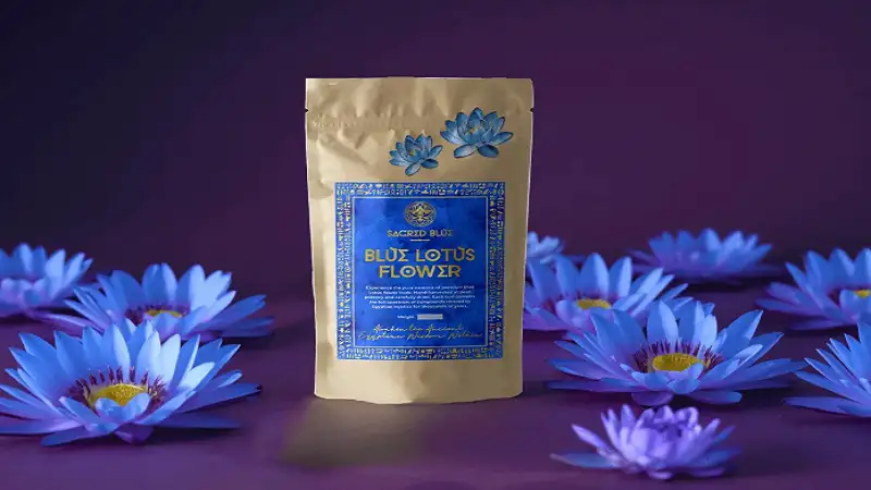 Sacred Blue Lotus