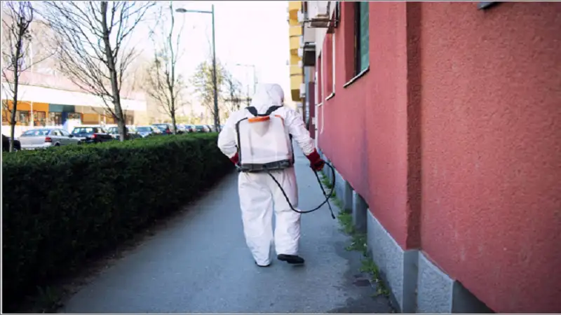 Pest Control