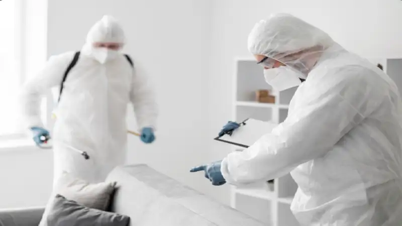 Pest Control Team