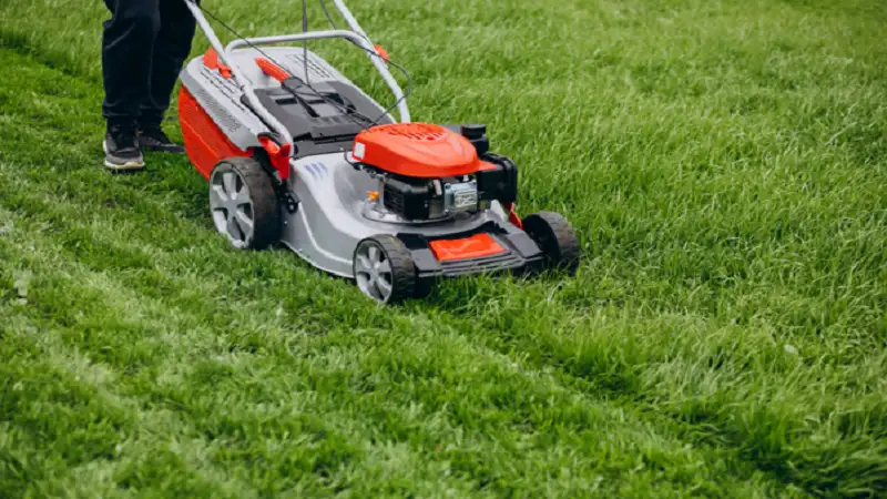 Lawn Care
