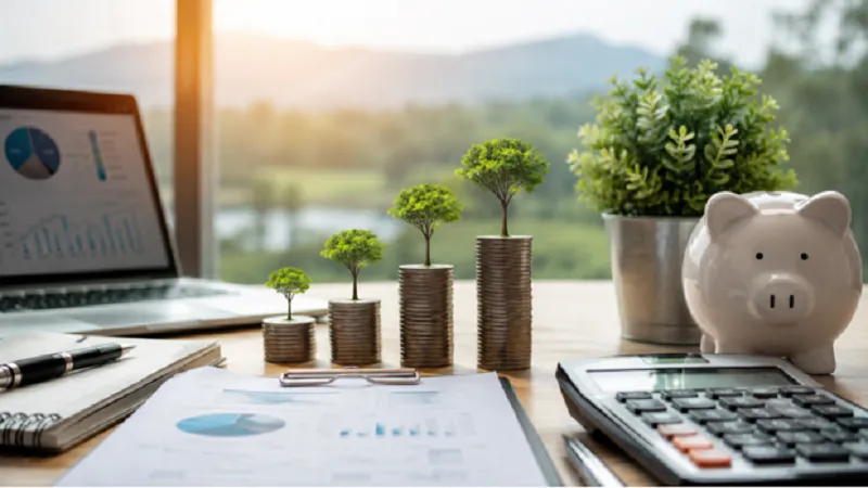 Professional Wealth Management